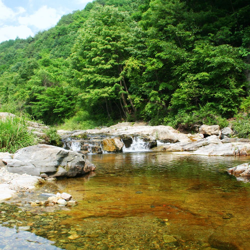 주변전경